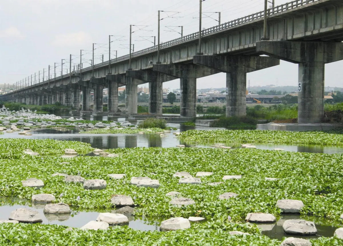 避免颱風作大水   防災要多管齊下