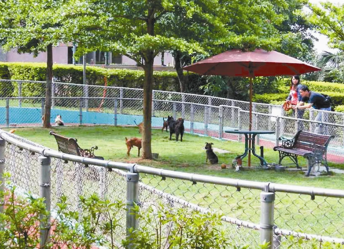 鼓勵認養犬貓 台中給好康