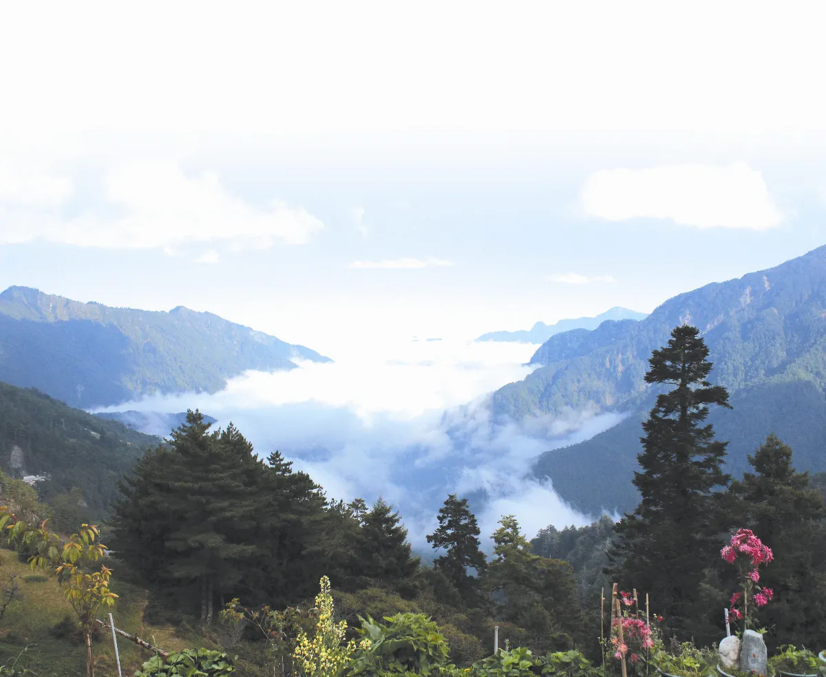 一嘯白雲外
