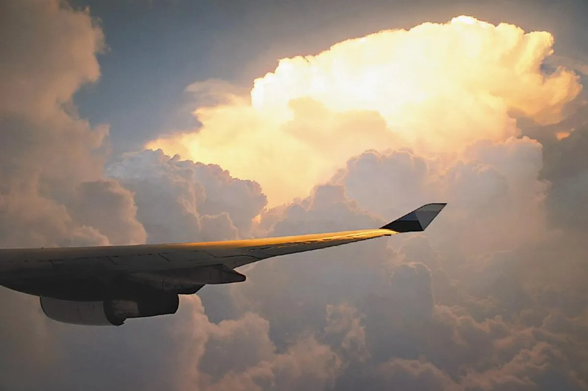 步諦斯style   機翼的style