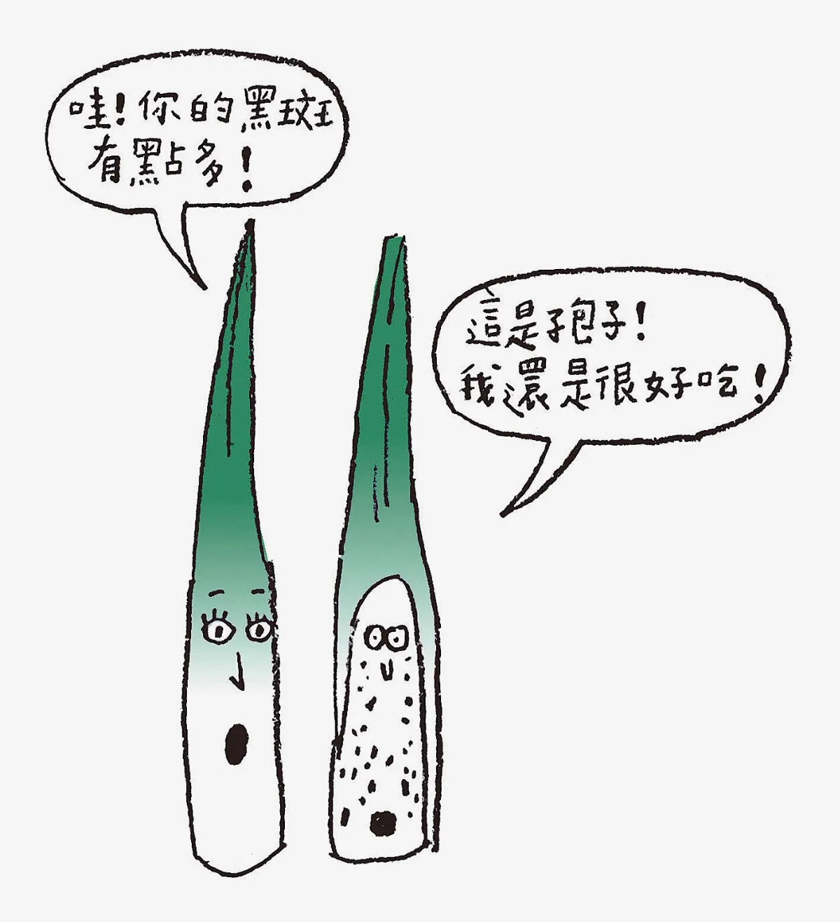 茭白筍不是筍！？