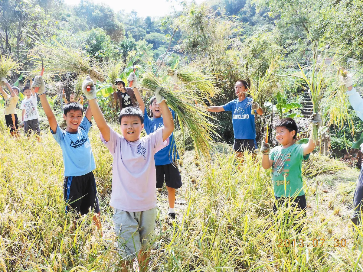 校園農場收割 有機蔬菜入餐