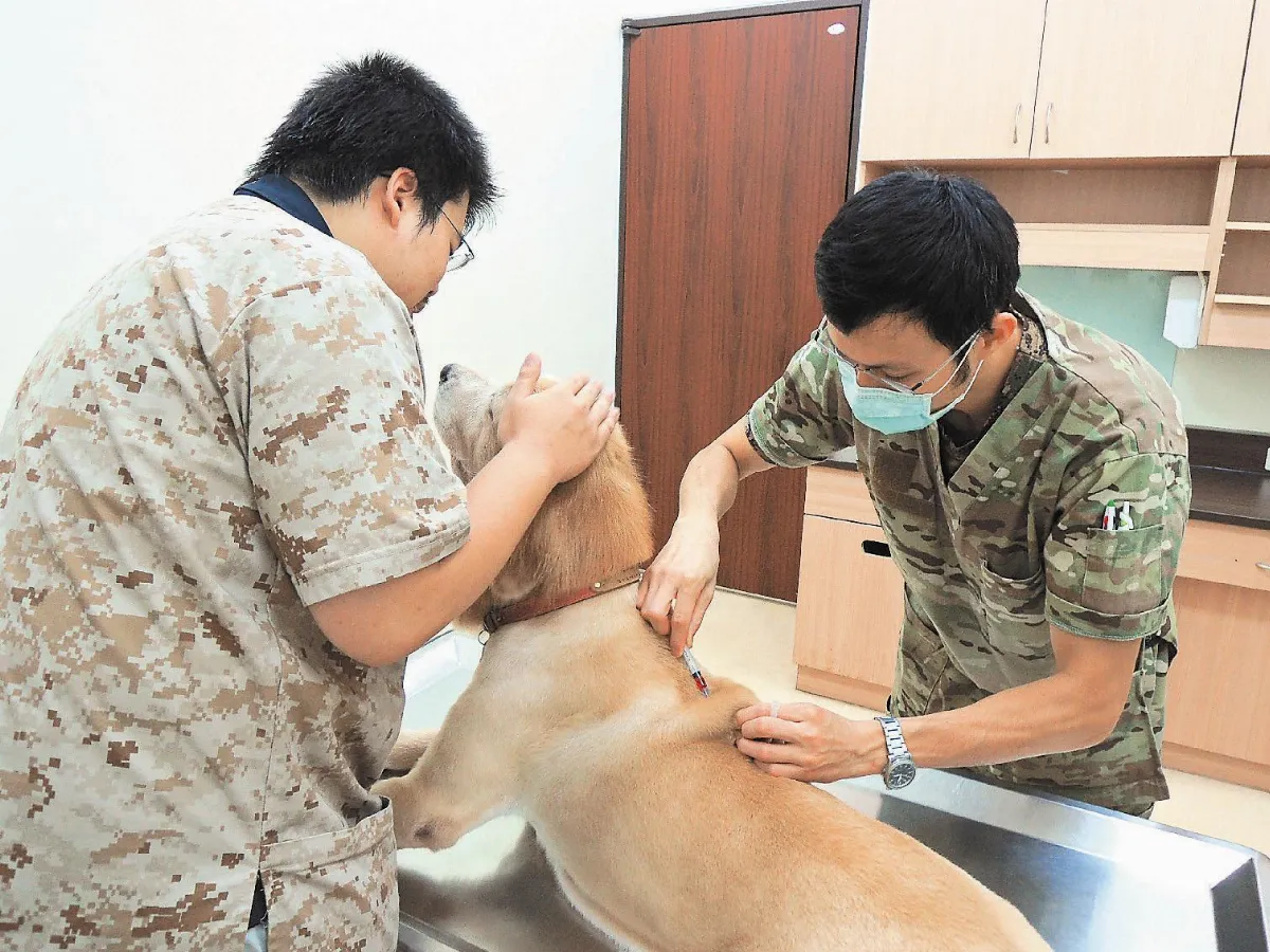 解開醫學密碼   狂犬病面面觀