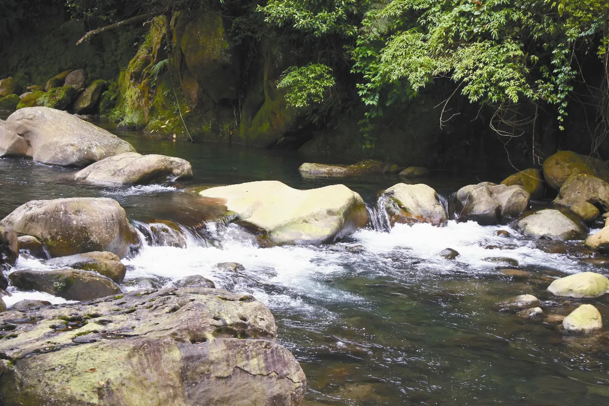 印象．旅人   蓬萊溪觀魚．賞花