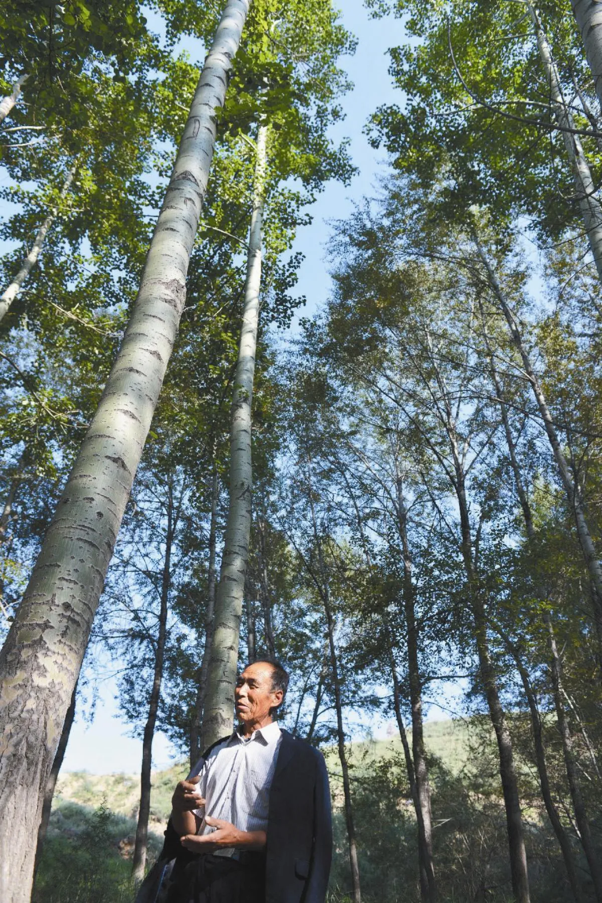 大陸飄綠帶太行深處森林防護牆 世界最長