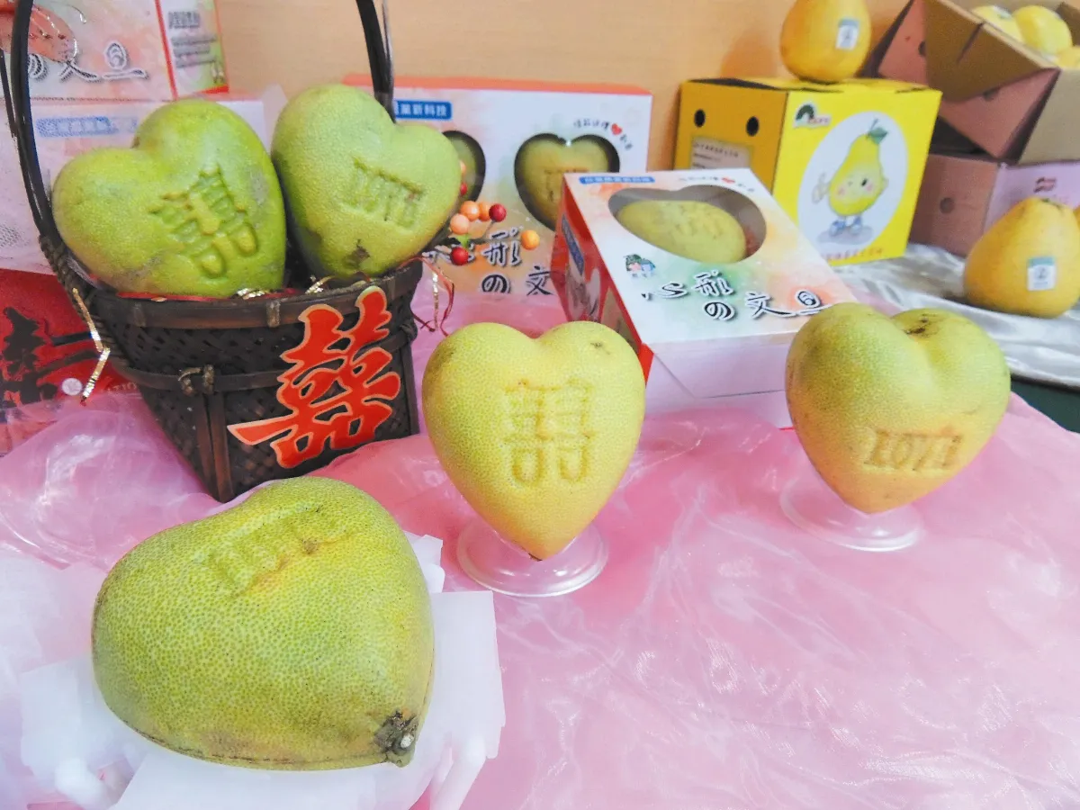八里心型文旦 超討喜