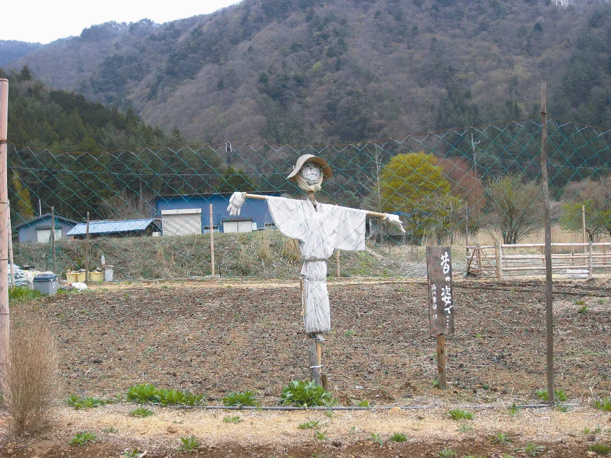 ◆旅行的風景　  日本的稻草人