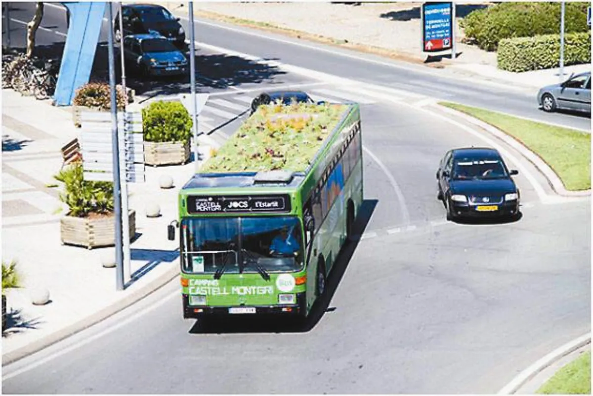 公車頂植栽 可降溫3℃
