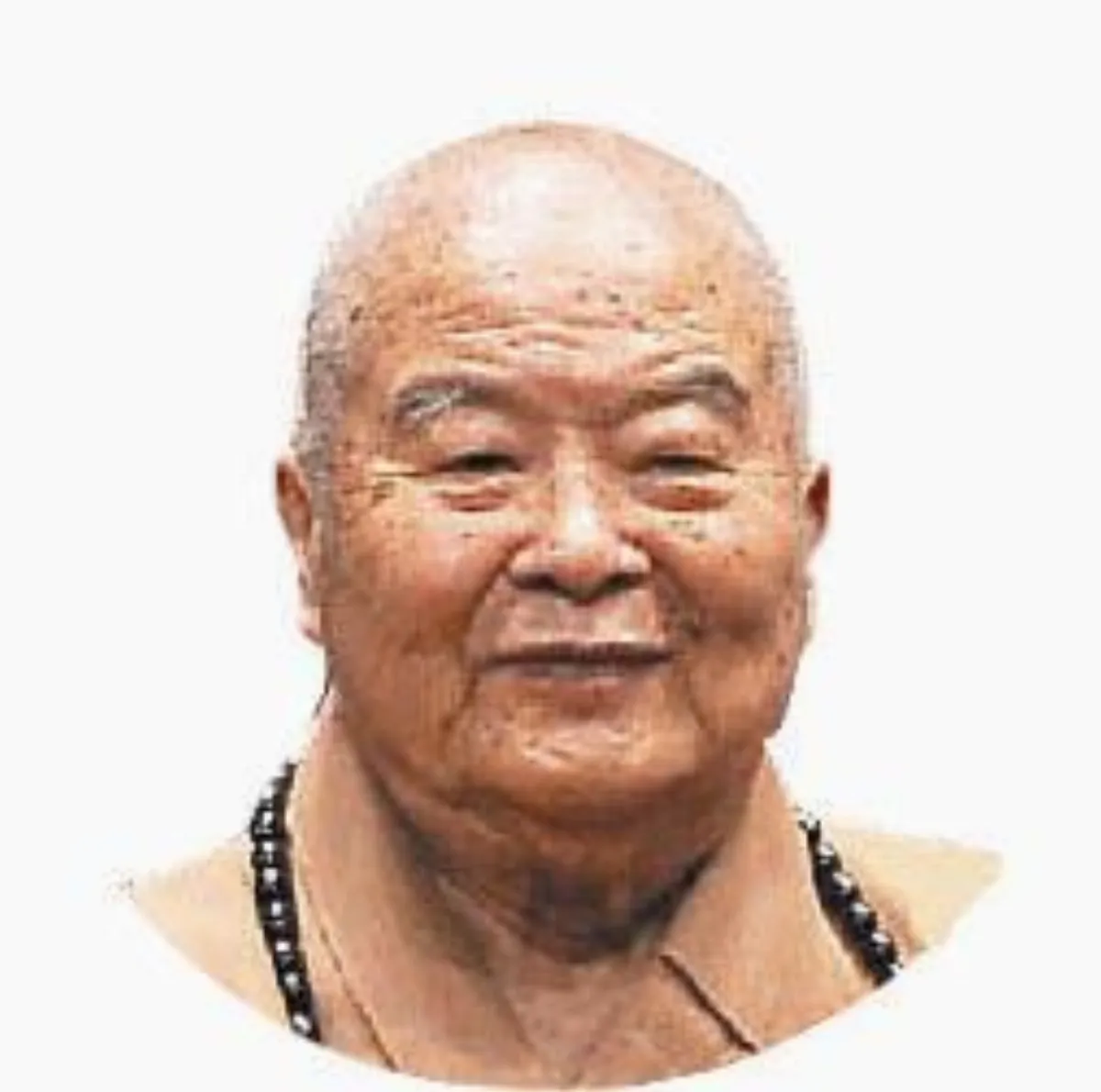 華人軟實力 站上國際舞台