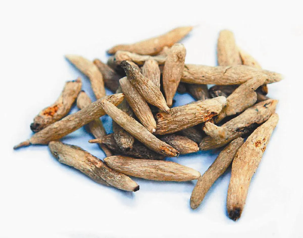 【中醫觀點】調整體質 更年期更自在