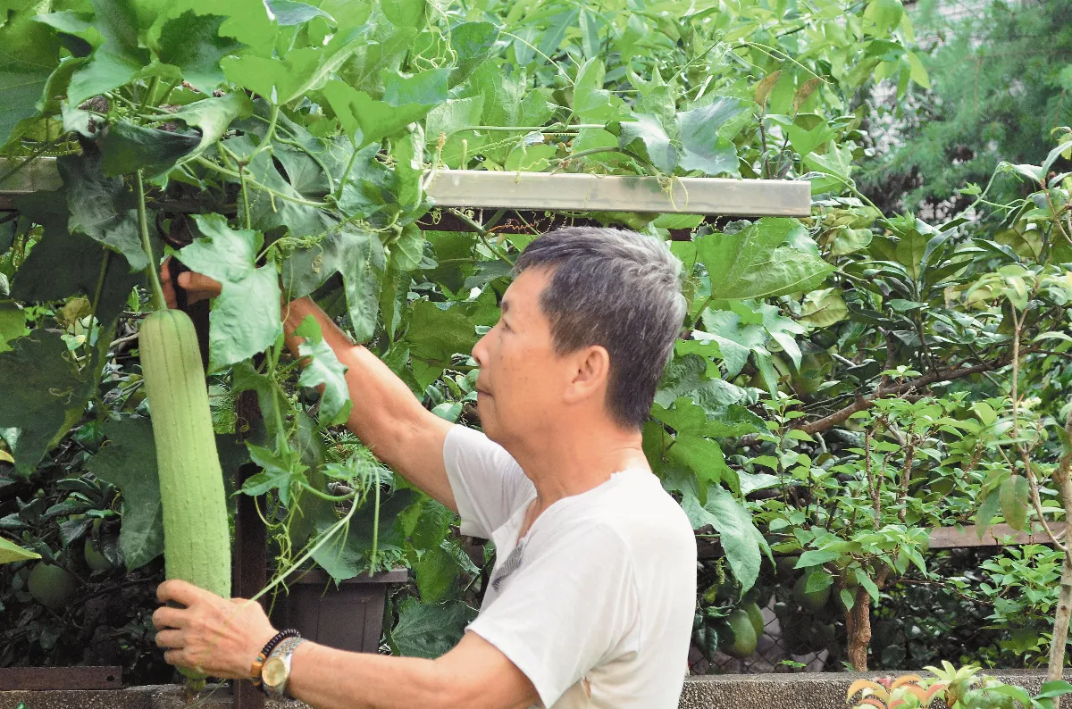 游村平因酸甜苦辣人生才有滋味