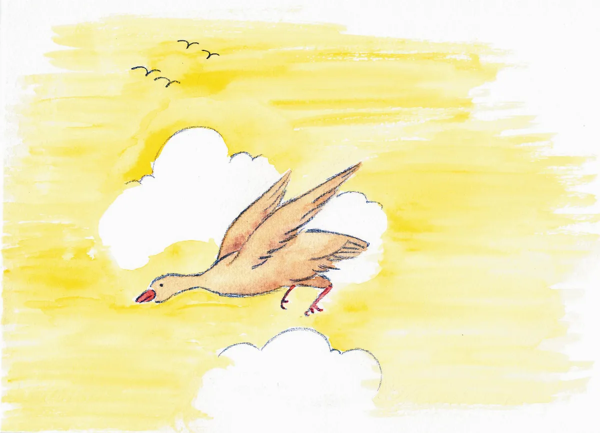 星雲說偈   四攝