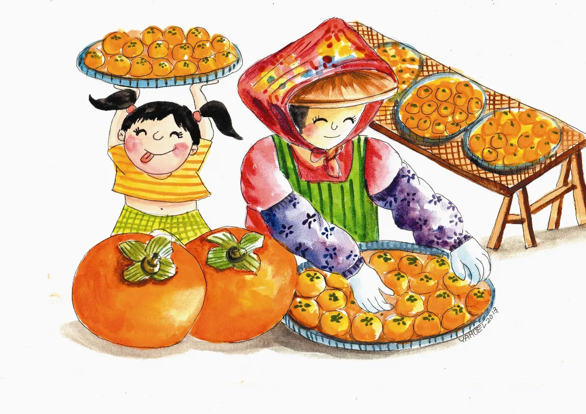 營養123   九降風起  柿子香