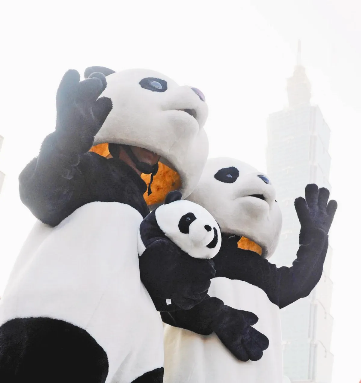 熊貓家族 參加國慶升旗