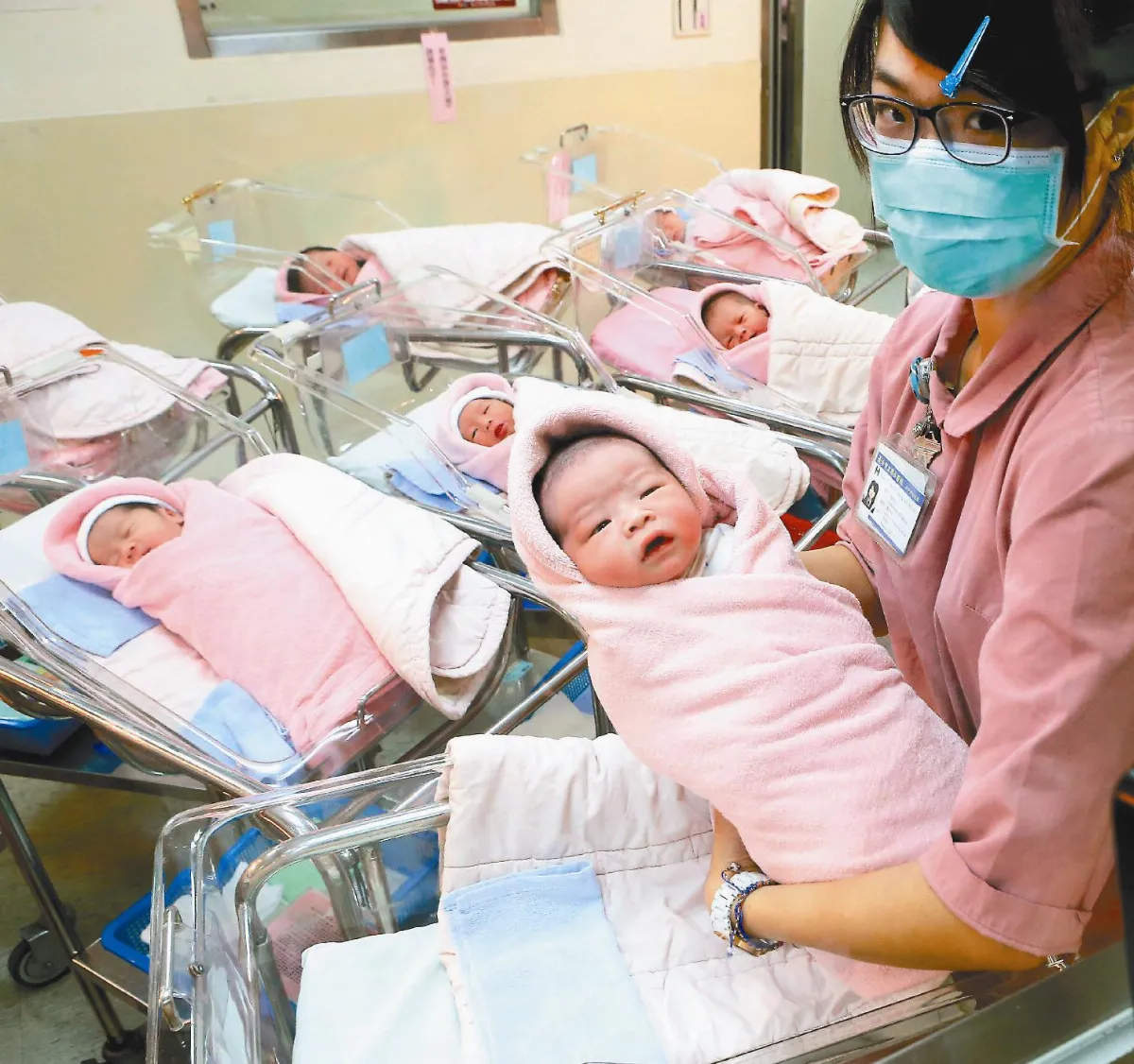 國慶寶寶 一家三口都屬小龍