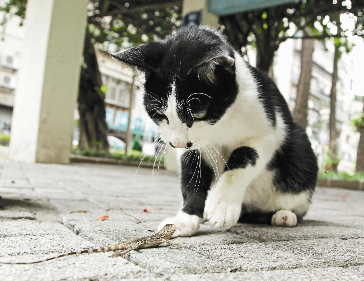 咦？什麼東西在動？