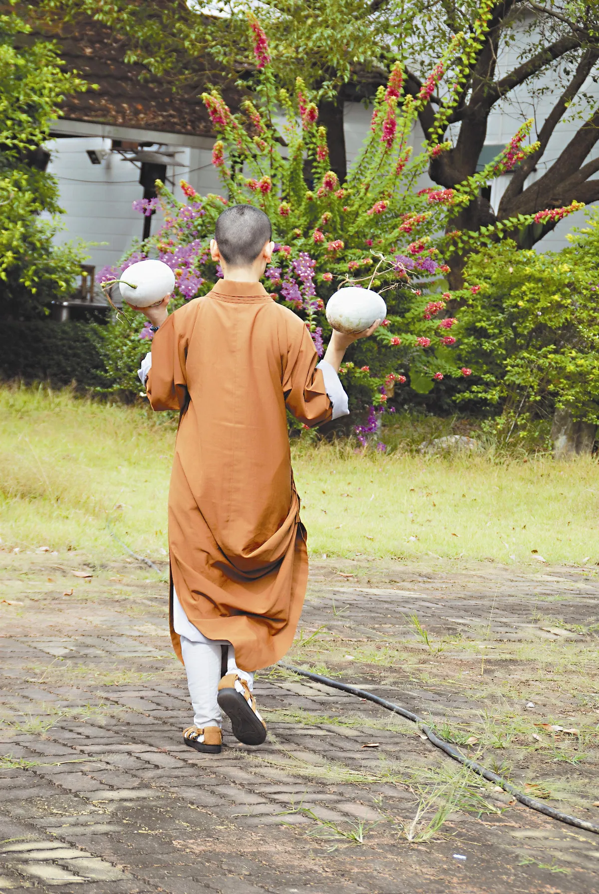 【清涼閱】清淨舌根解讀菜根香
