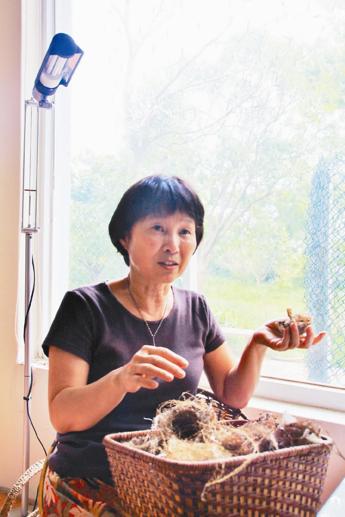 鳥巢靈感 徐素霞畫家