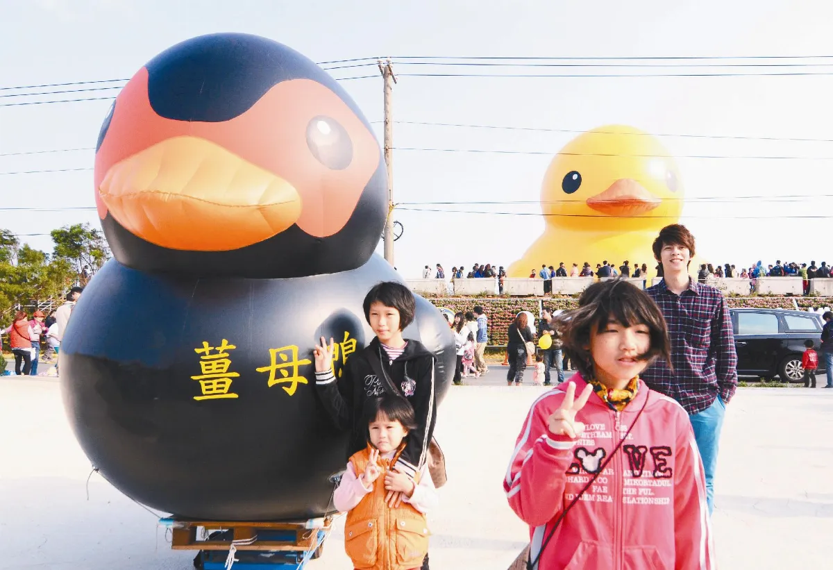 黑黃鴨  大PK