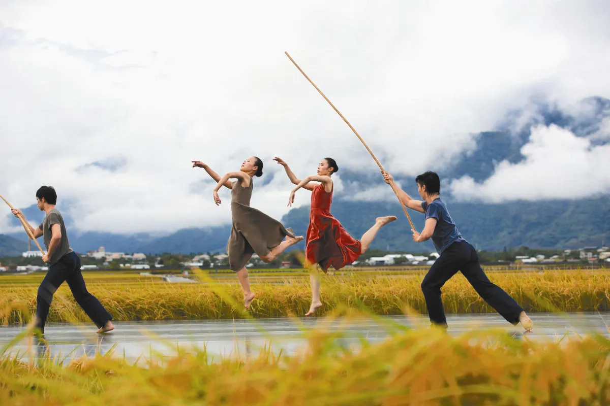 池上稻浪翻飛  林懷民著了迷