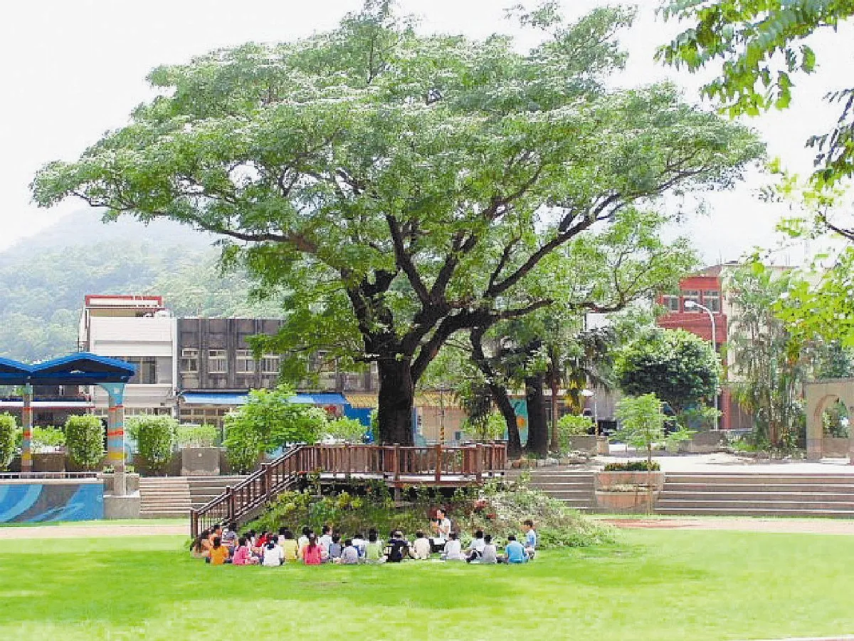 老樹壽終正寢 蘇澳學童追思