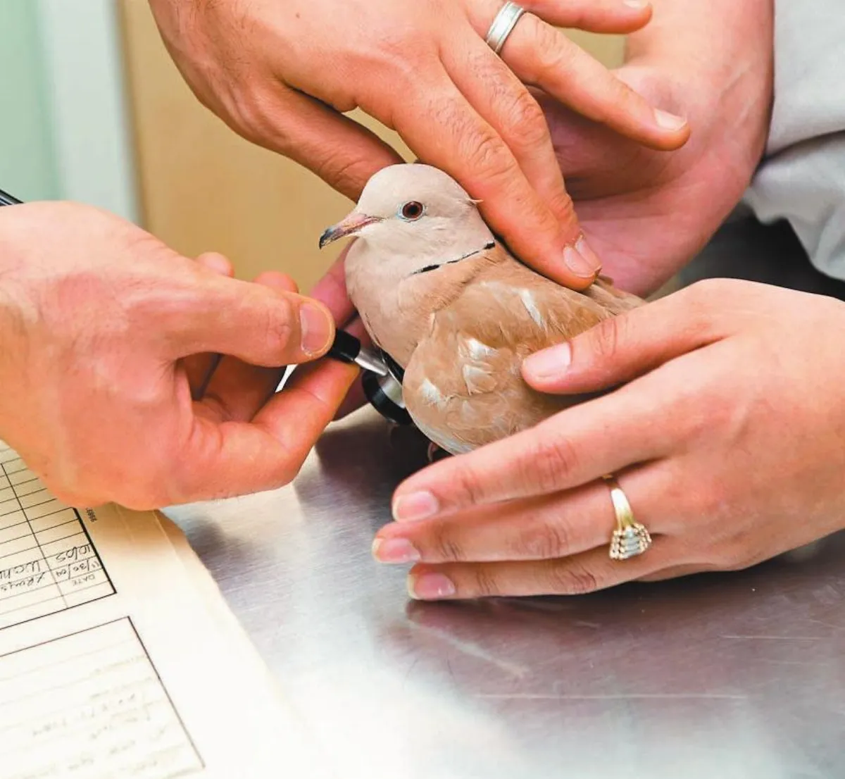 我生病了 還好有你醫治我