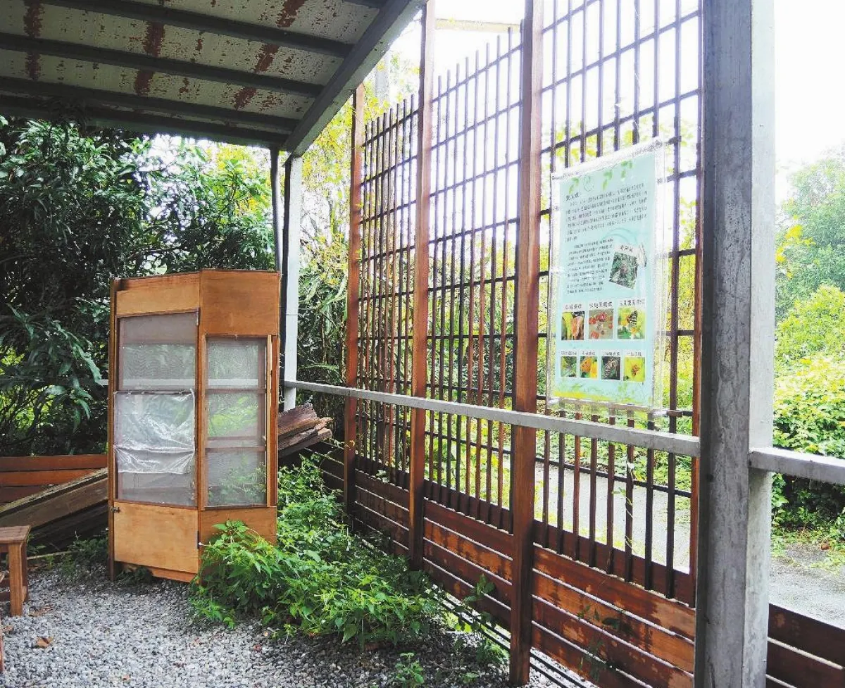 【社區部落格】 廢棄屋變蝴蝶復育基地