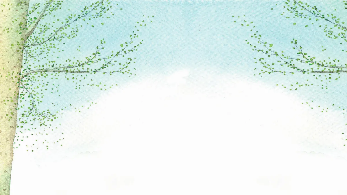 青春部落 校園‧四季‧小葉欖仁