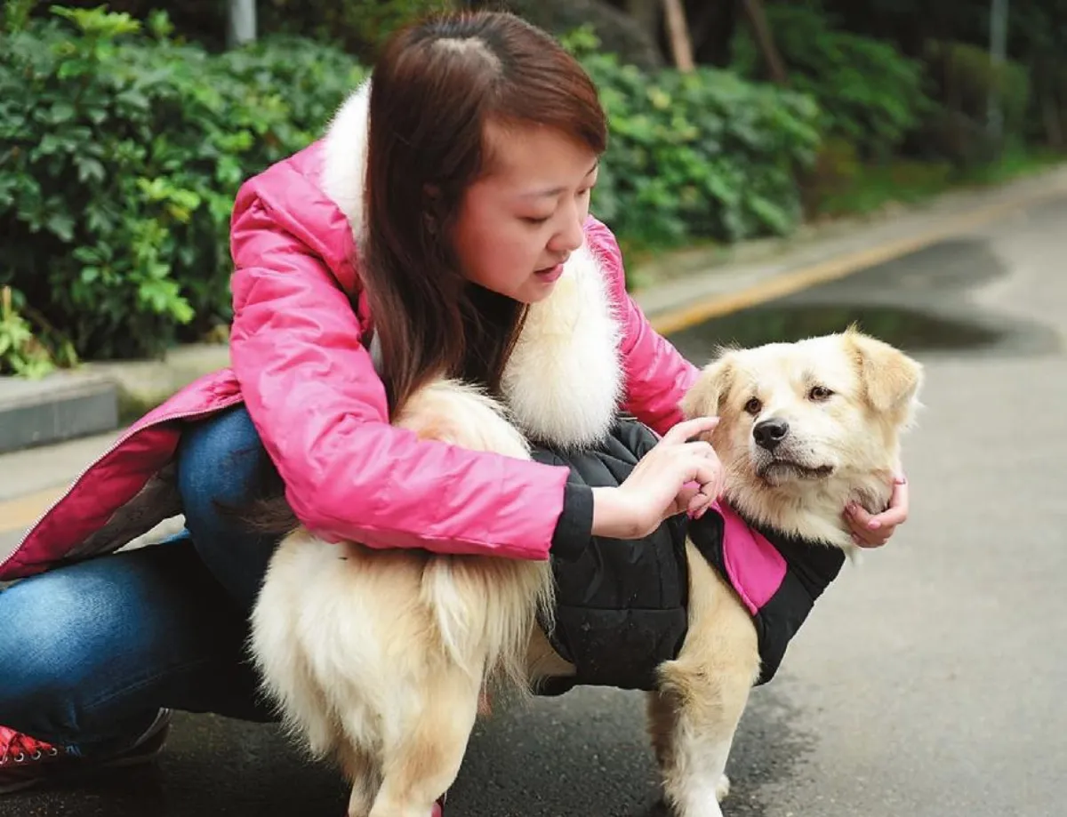 四川忠犬苦等主人迎來春天