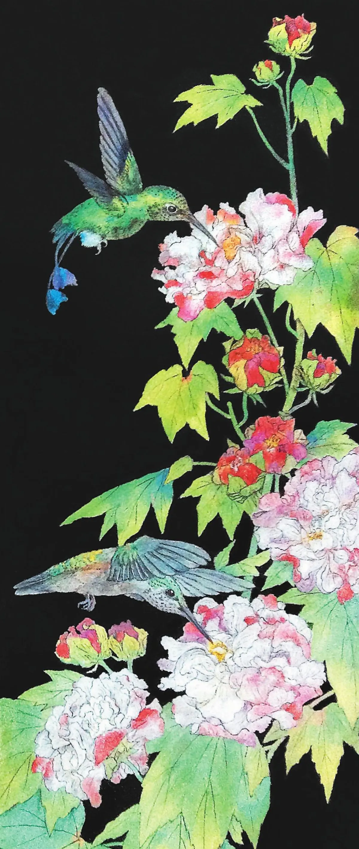 【陳淑華2013創作展】 蜂鳥