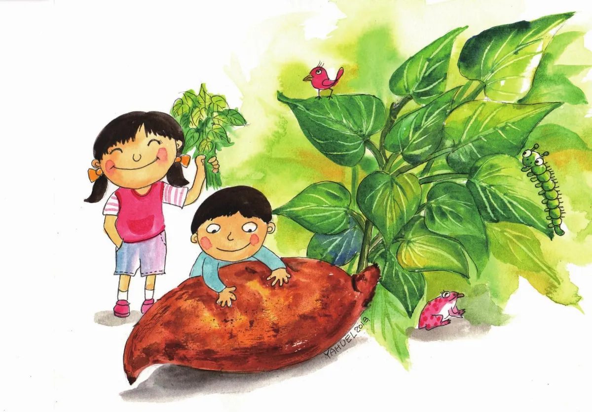 便宜又營養的地瓜葉