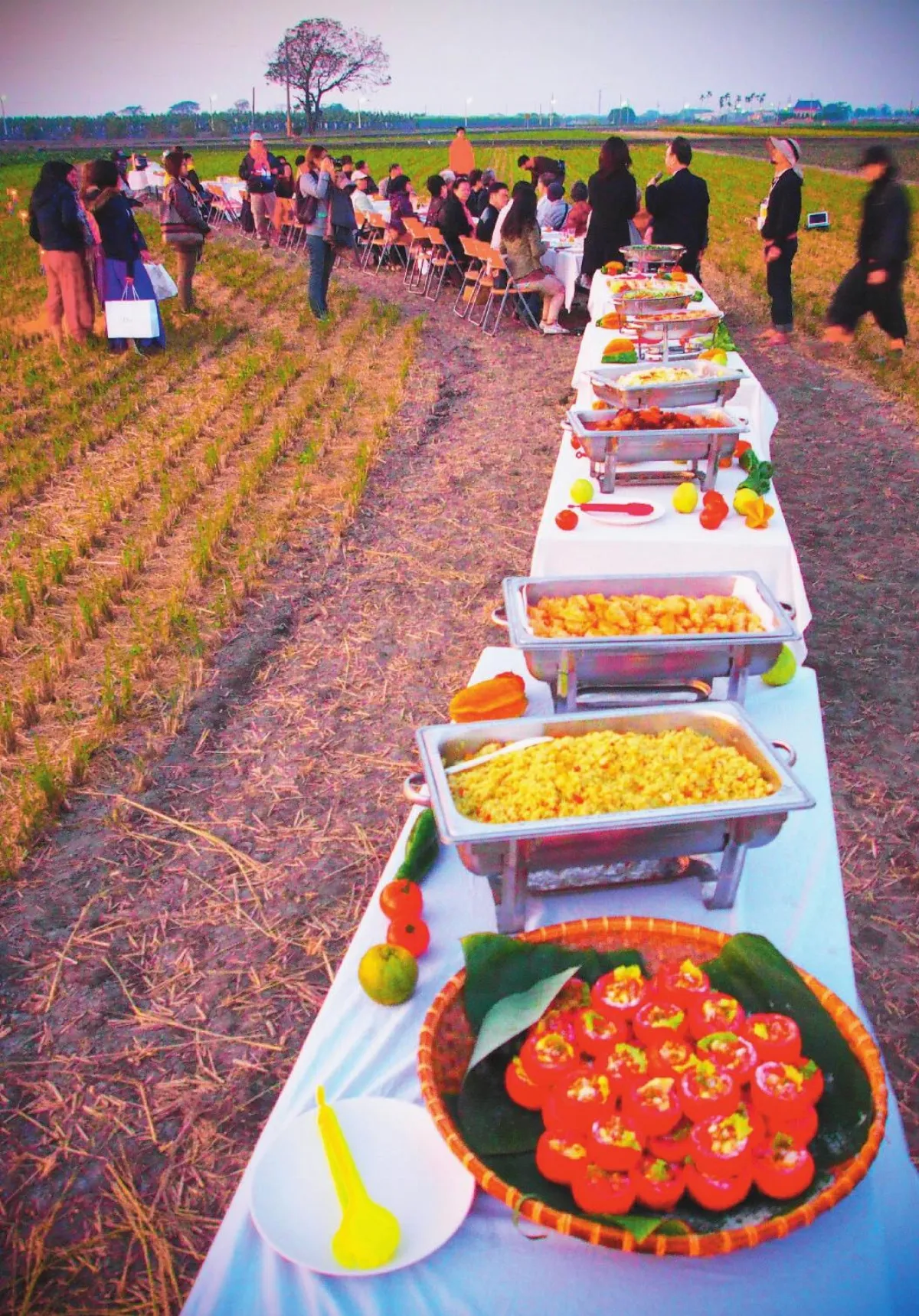 前立委轉農 開心上菜囉