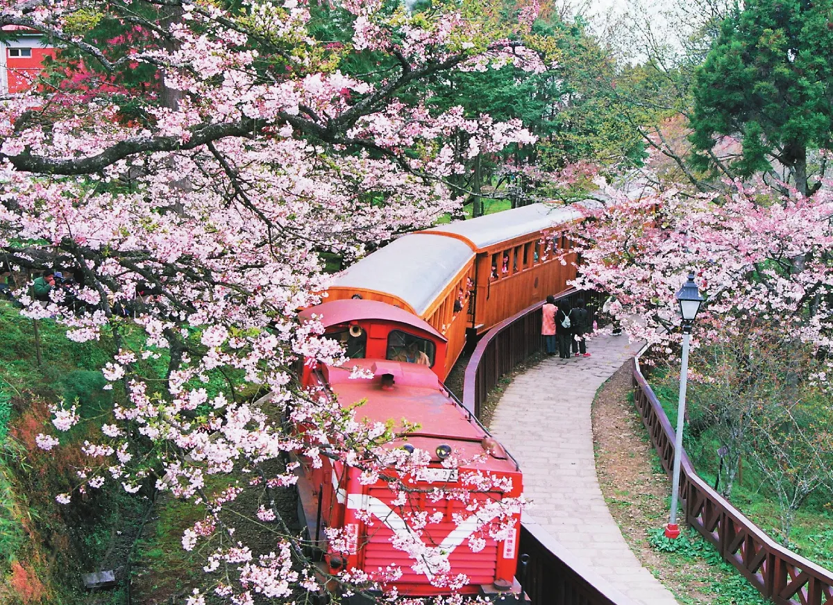 23層高樓 泰山壓頂淡水小白宮