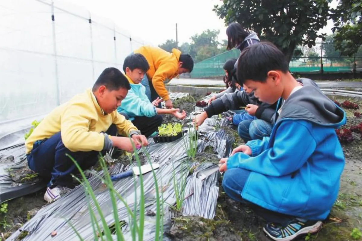 溪口學童種菜義賣做公益