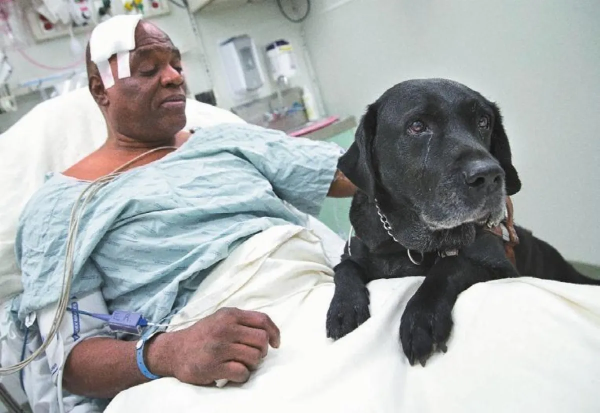 失明男跌月台忠犬救主