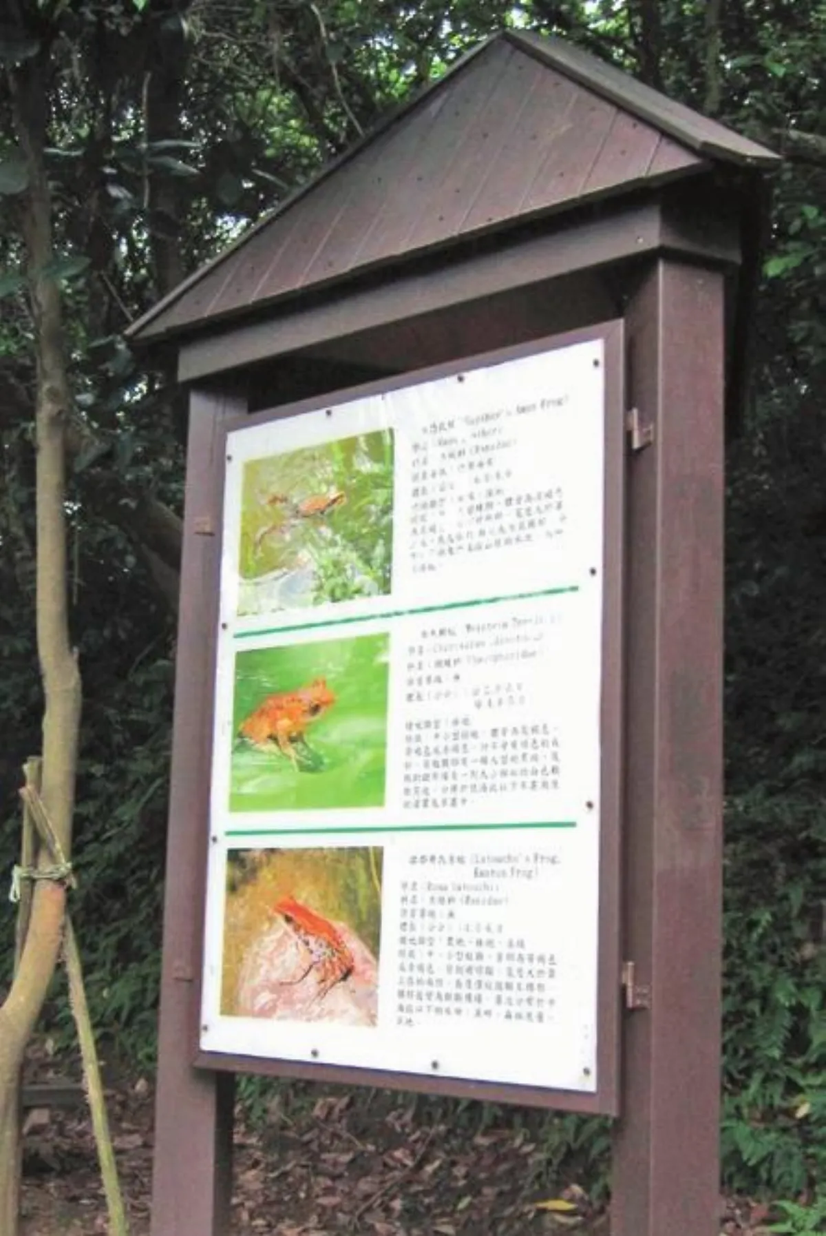 我的綠生活 銀髮族的登山樂