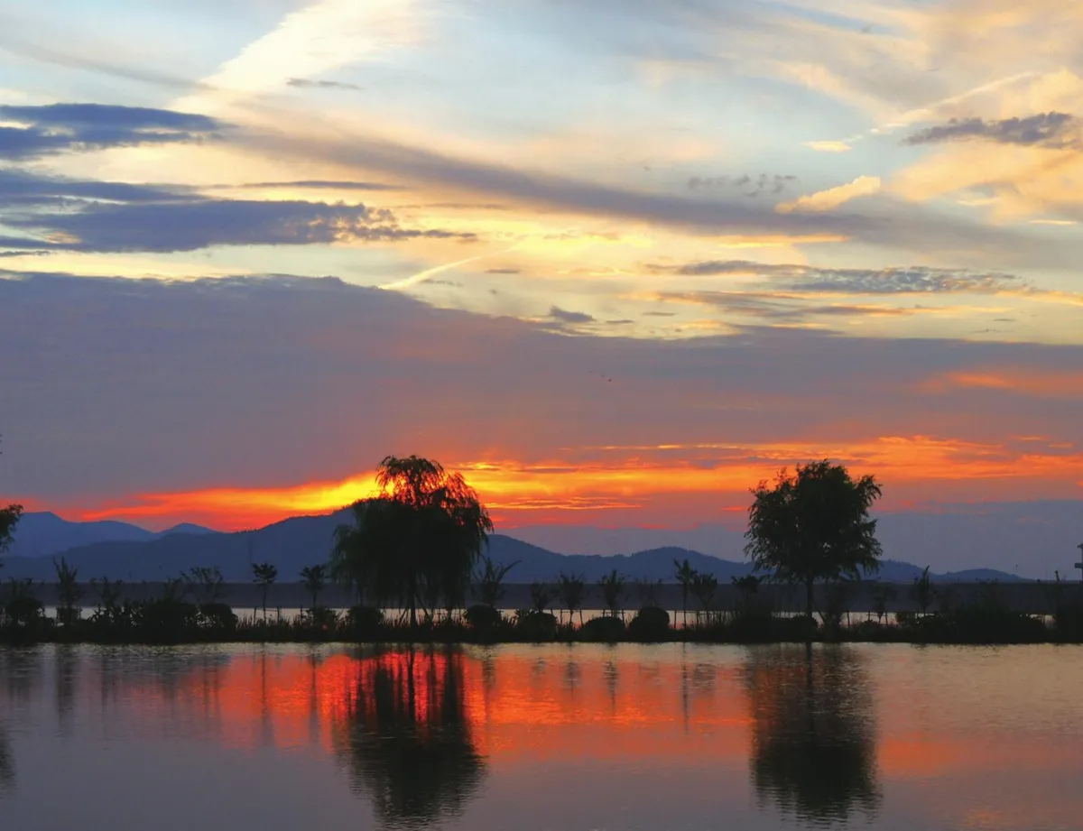 媽媽！妳什麼時候　還要再出國啊！