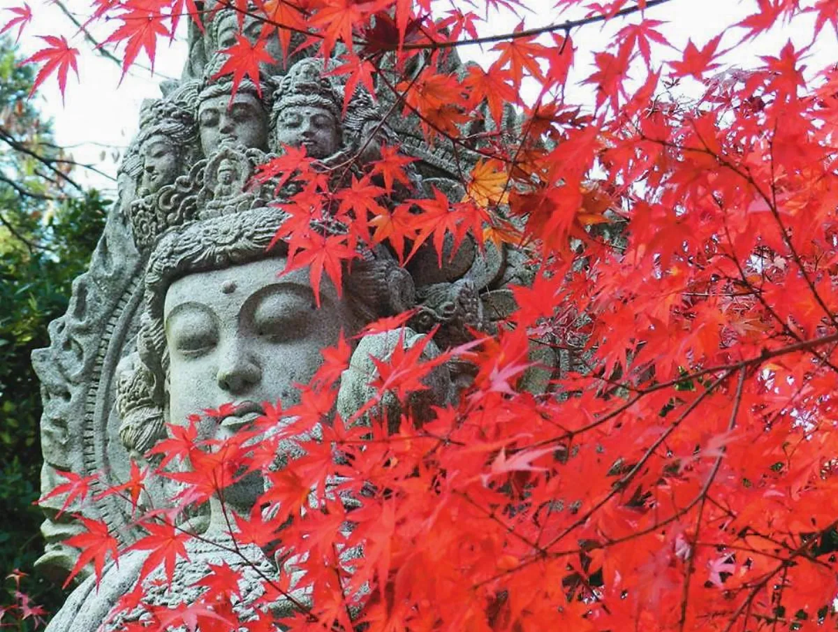 步諦斯style 楓的style