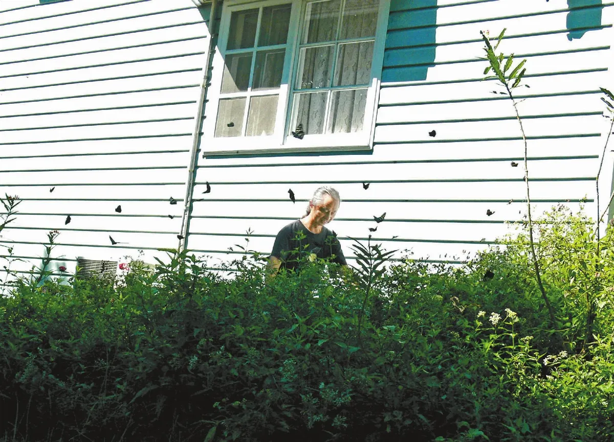 為蟲辛苦為蟲忙