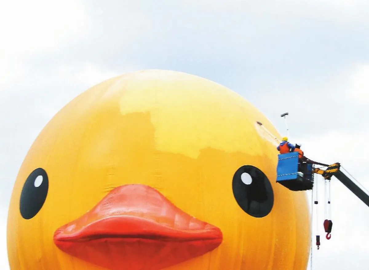 黃小鴨洗澎澎 環保藥劑奏效