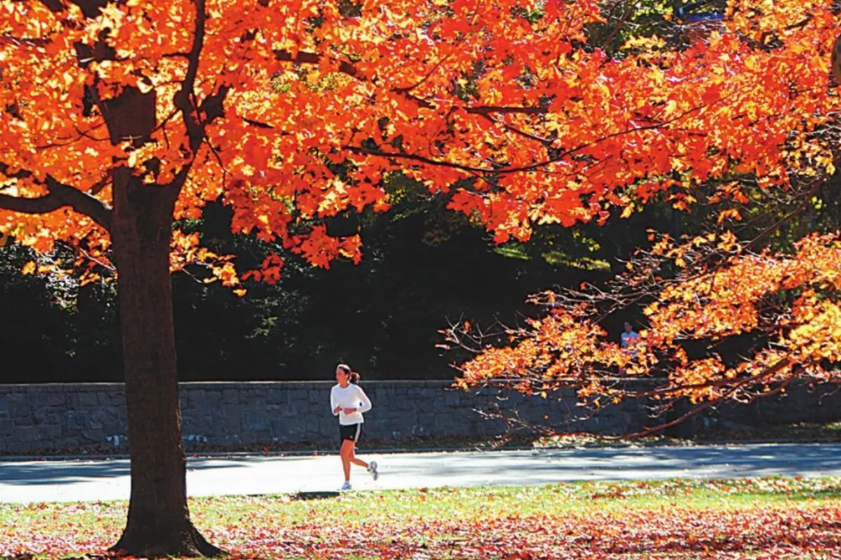 打造活動到老的身體