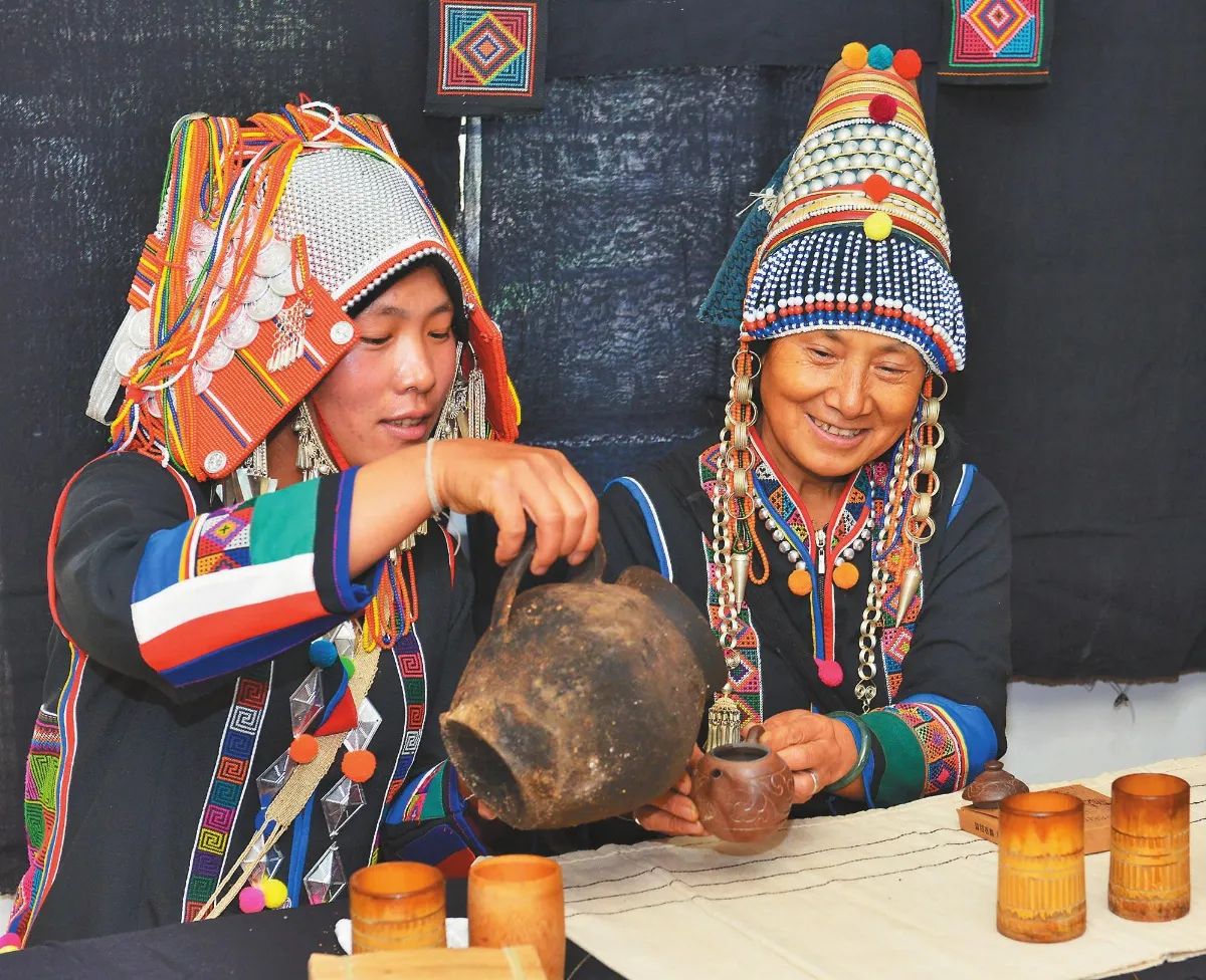 茶來茶去 僾尼族的 把把茶