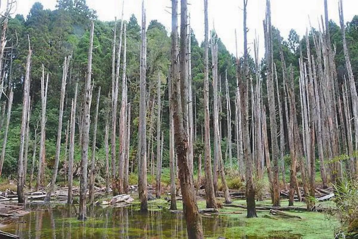 旅遊大小事 新春求變山野新玩法
