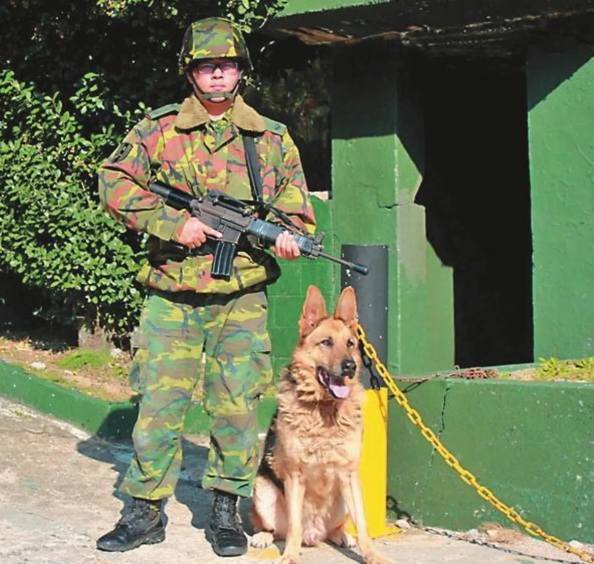 陸軍史上最後軍犬 士官長軍犬年薪1.6萬