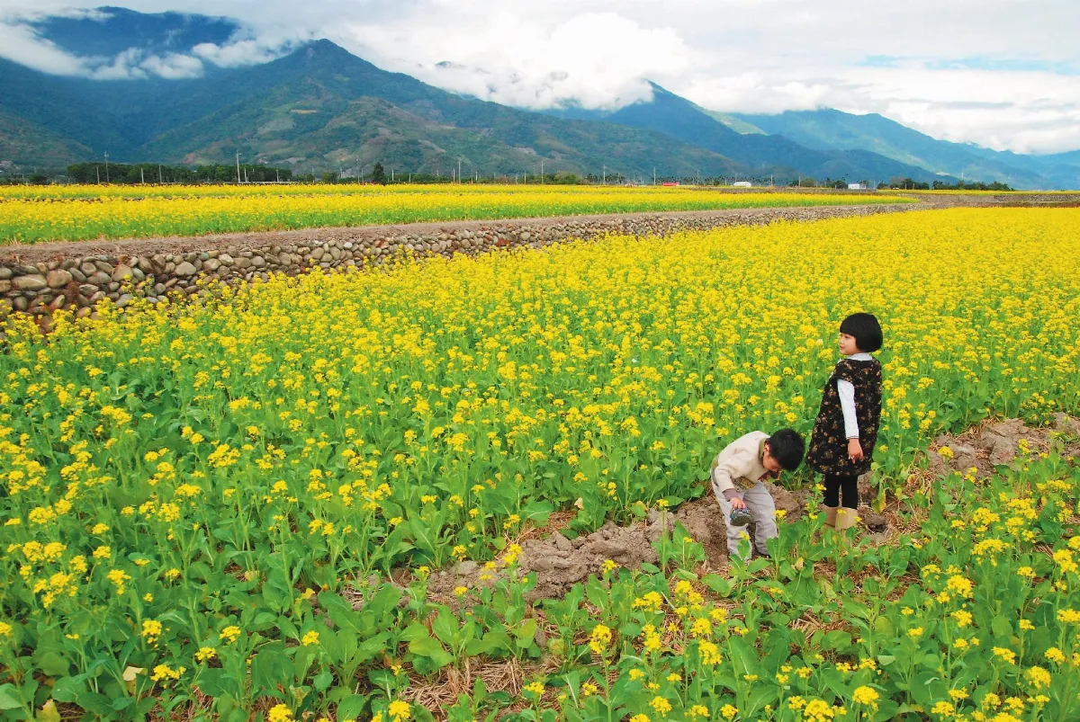 海闊天空 那年春節我們遊花東
