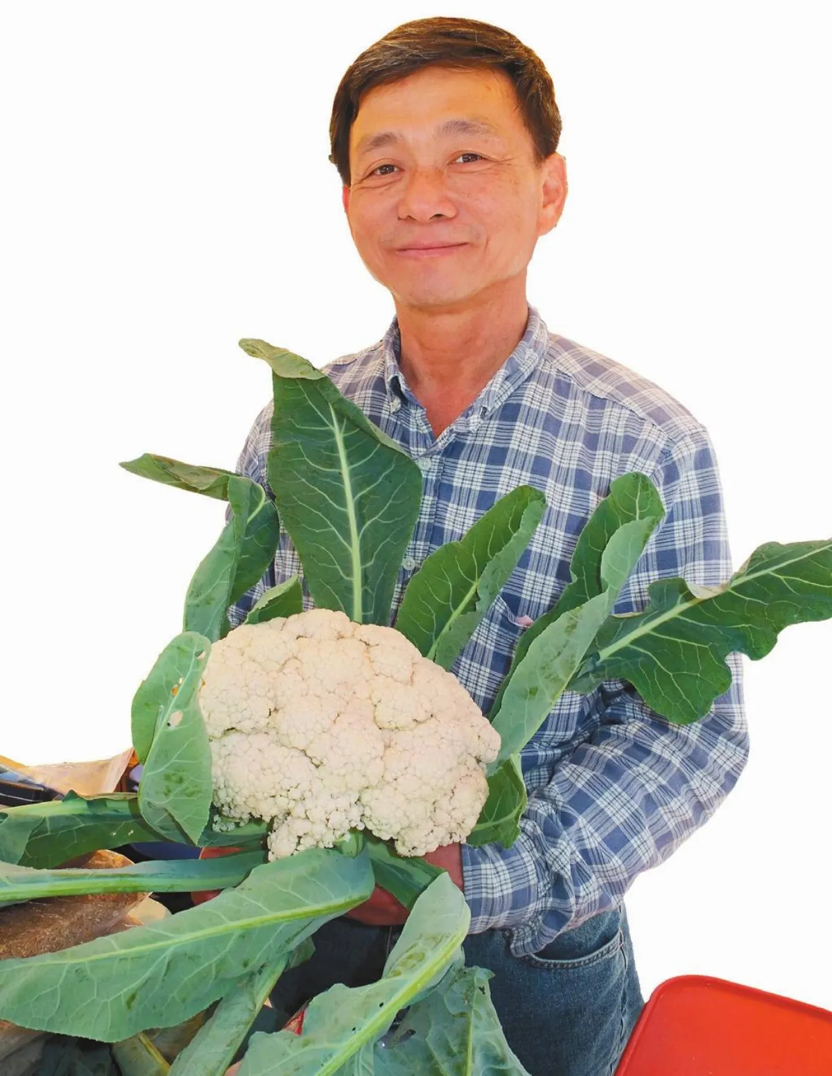 推廣自然農法 養生護大地