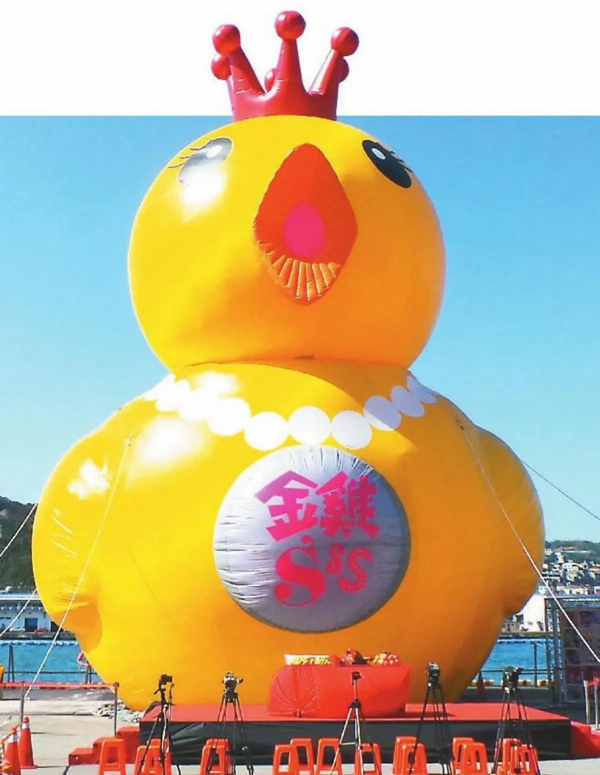 雞鴨同籠 紅面鴨萌