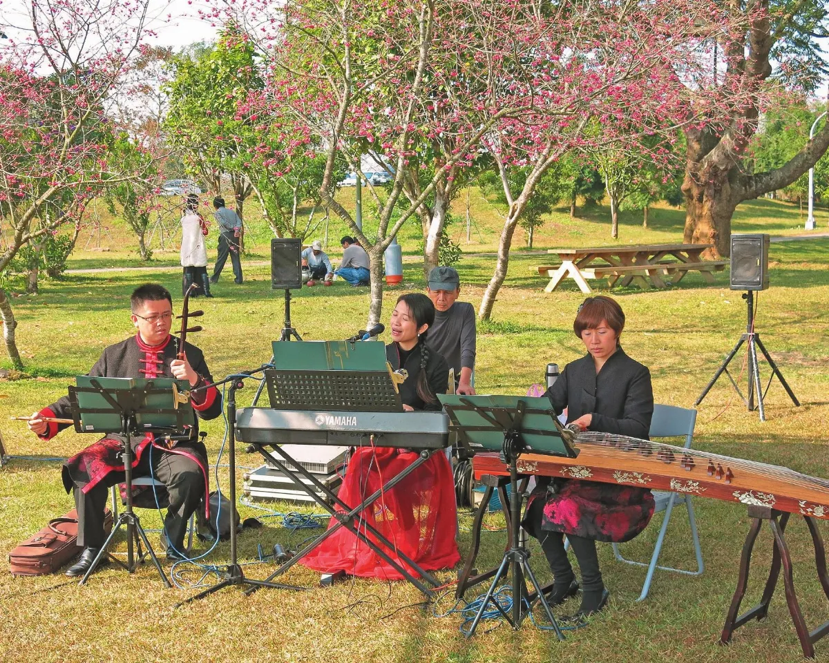 花賞茶事暨南大學櫻姿盛開