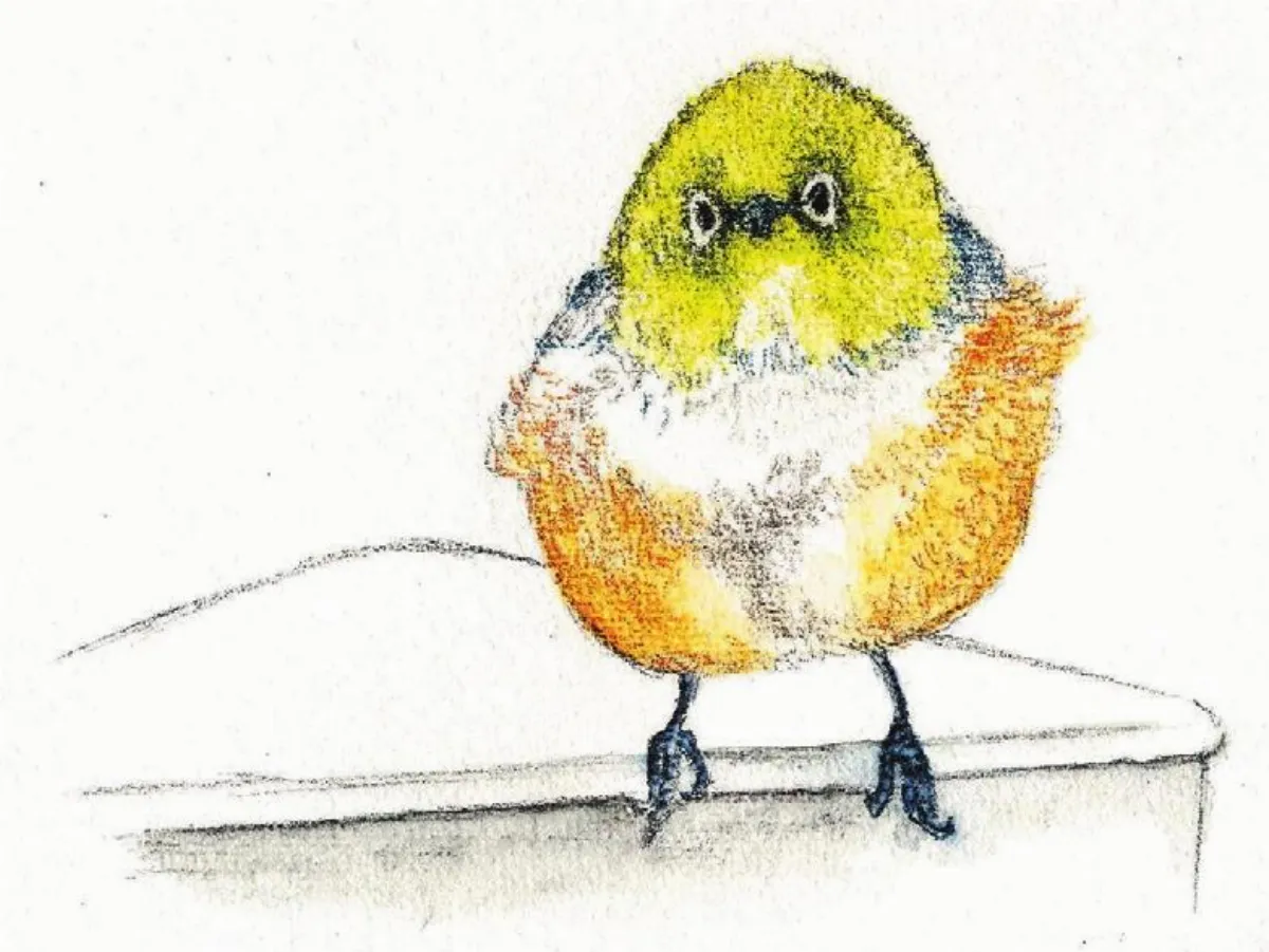 星雲說偈 坐解脫床