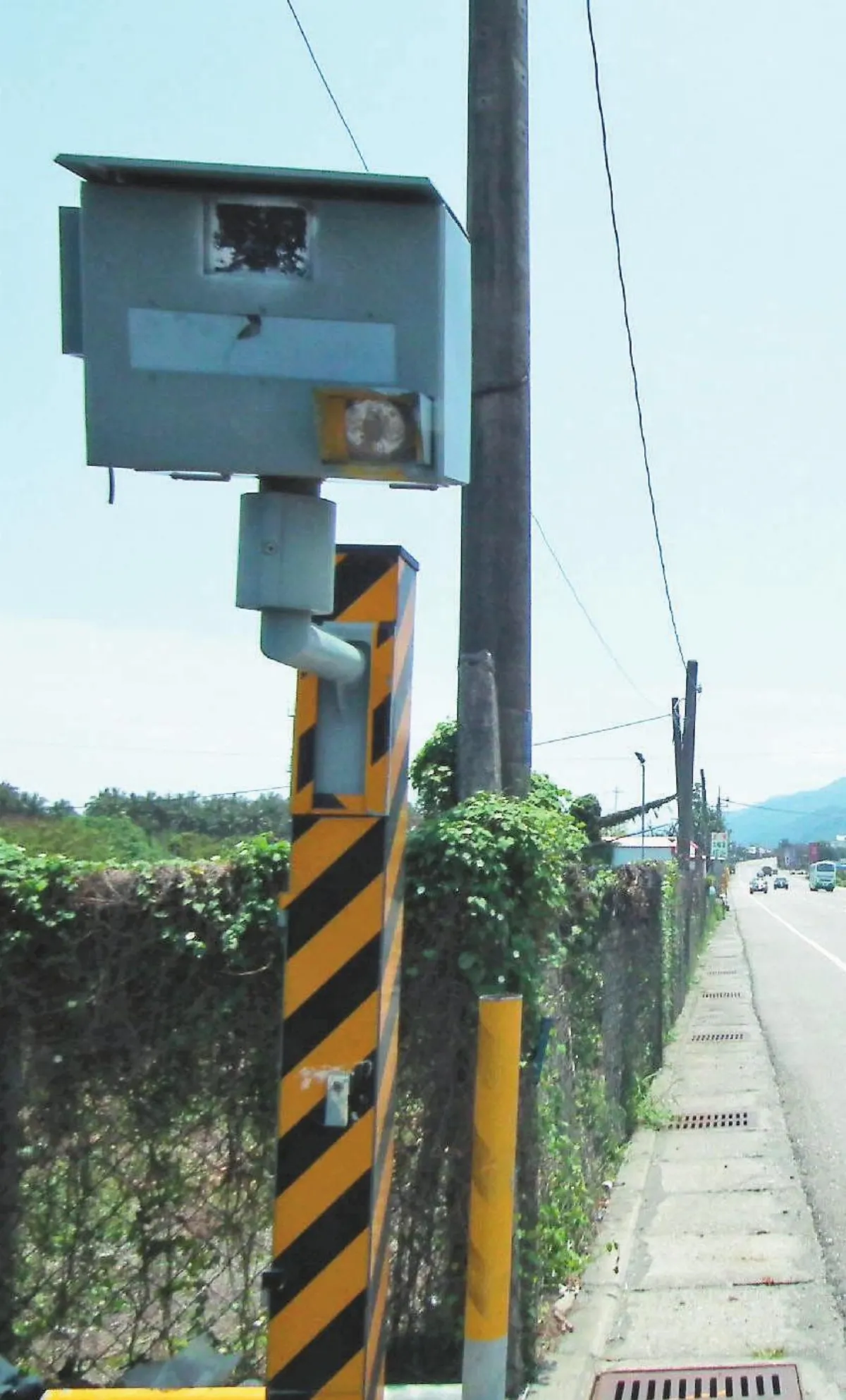 6天拍1012件賺近200萬　香蘭測速桿另類搖錢樹